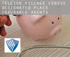 Tellico Village insurance agents