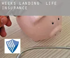 Weeks Landing  life insurance