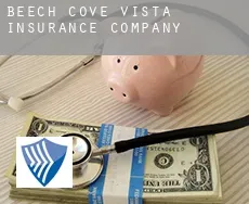 Beech Cove Vista  insurance company