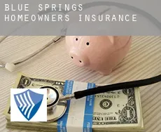 Blue Springs  homeowners insurance