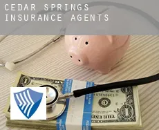 Cedar Springs  insurance agents