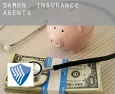 Damon  insurance agents