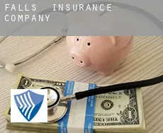 Falls  insurance company