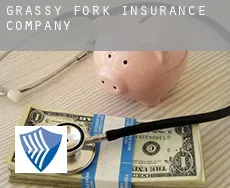 Grassy Fork  insurance company