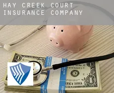Hay Creek Court  insurance company