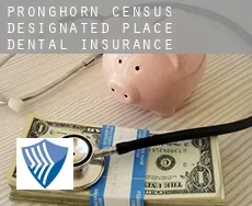 Pronghorn  dental insurance