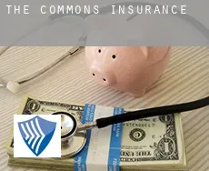 The Commons  insurance