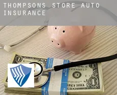 Thompsons Store  auto insurance