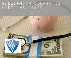 Williamson County  life insurance
