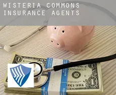 Wisteria Commons  insurance agents