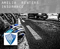 Amelia  renters insurance