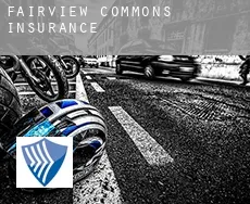 Fairview Commons  insurance