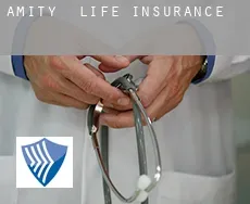 Amity  life insurance