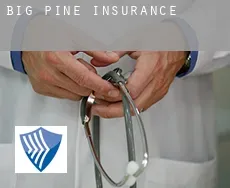 Big Pine  insurance