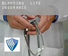 Blanding  life insurance