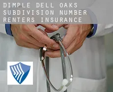 Dimple Dell Oaks Subdivision Number 2 renters insurance