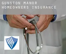 Gunston Manor  homeowners insurance