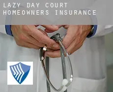 Lazy Day Court  homeowners insurance