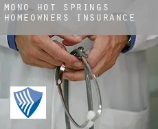 Mono Hot Springs  homeowners insurance
