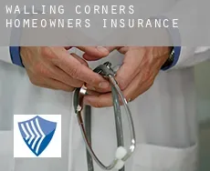 Walling Corners homeowners insurance