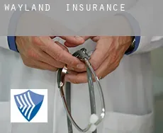 Wayland  insurance