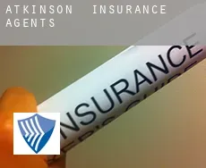 Atkinson  insurance agents