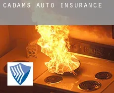 Cadams  auto insurance