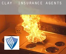 Clay  insurance agents