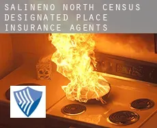 Salineno North  insurance agents
