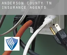 Anderson County  insurance agents