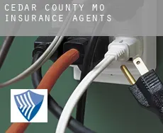 Cedar County  insurance agents