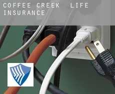 Coffee Creek  life insurance