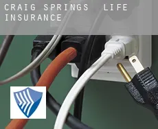 Craig Springs  life insurance