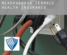 Meadowbrook Terrace  health insurance