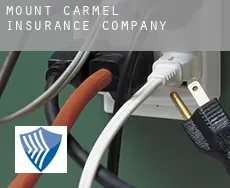 Mount Carmel  insurance company