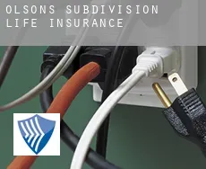 Olson's Subdivision  life insurance