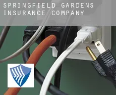 Springfield Gardens  insurance company