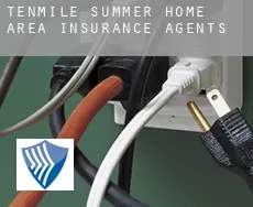 Tenmile Summer Home Area  insurance agents