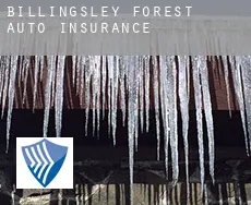 Billingsley Forest  auto insurance