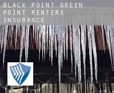 Black Point-Green Point  renters insurance