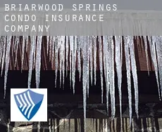 Briarwood Springs Condo  insurance company