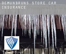 Demunbruns Store  car insurance