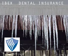 Ibex  dental insurance