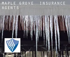 Maple Grove  insurance agents