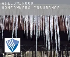 Willowbrook  homeowners insurance