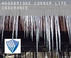 Woodbridge Corner  life insurance