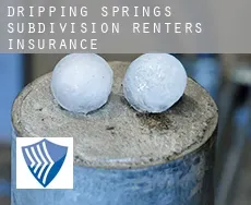 Dripping Springs Subdivision  renters insurance
