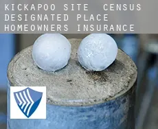 Kickapoo Site 6  homeowners insurance