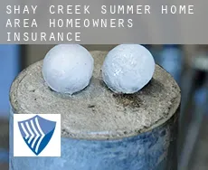 Shay Creek Summer Home Area  homeowners insurance