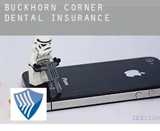 Buckhorn Corner dental insurance